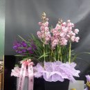 부림약국 이미지