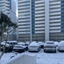 힘찬염소농장 | 다디단 밤양갱