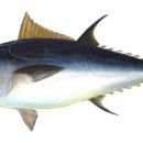 도매유통 이미지