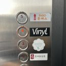 [내돈내산] 강릉여행뚜벅이코스-바이닐강릉/르봉마젤소품샵/누룽지오징어순대 후기