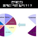 왜 글리코 영양소의 부족이 생겼는가? 이미지