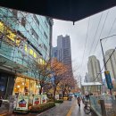 이철헤어커커 마포공덕역점 | 공덕역미용실 이철헤어커커 마포공덕역점 펌 후기