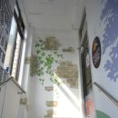 비타민 PC방 이미지