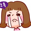 진해동물의료센터 이미지