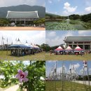 이마트 24 울산번영두산점 | EBL패스(고속버스 프리패스)로 즐기는 7일여정⑥(천안 독립기념관, 포항 칠포파인비치호텔)