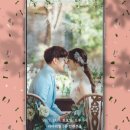 파스텔창 이미지