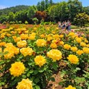 곡성-052 네이버블로그