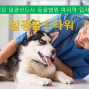 가인동물병원 이미지