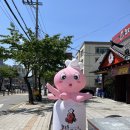 남포동직화쭈꾸미팽성점 이미지