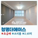 청명더에이스 이미지