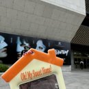 선일카 | 250802 뮤지컬 팬텀 후기