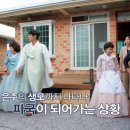 돼지가문 이미지