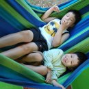 하늘빛소나무펜션 이미지