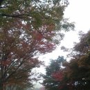 새재의아침 이미지