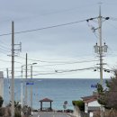 입장 재래시장 화장실 | 제주도 여행 첫날 코스 🌼 동문재래시장 소색채본카페 유채꽃 마틸다 제주 사진 스팟 후기