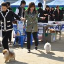 이천공설운동장 이미지