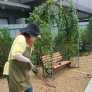 정통힐링존 이미지