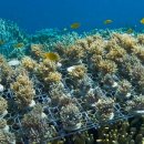 양식농장 이미지