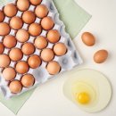 번창2로 이미지