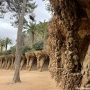 가우디농장 이미지