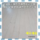 강화부식 | 강화마루 애완견 배변자국 문제, 제품 교체 없이 해결한 복구 후기