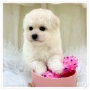 경기도 수원시 권선구 세지로82번길 3 (권선동) 이미지