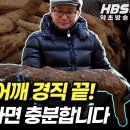 만성 통증·어깨 경직 끝! '이것'하나면 충분합니다 - 갈근 이미지