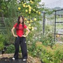 꽃이랑나무랑 이미지