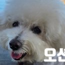 영랑호수공원 이미지