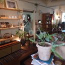 나영이의힐링샵 이미지