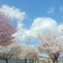 포도송이풀빌라 이미지