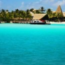 파라다이스 이미지