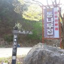 샘물농장 이미지