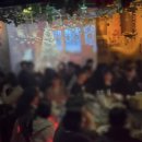 성비 | 제주도 핫플 제주 스테이블 게하 솔직 후기(성비/팁/후일담/구성/2차/3차)