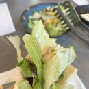 언덕위의옥쓰하우스 | 남해 독일마을 맛집 어디가 좋나요? 램스하우스 다녀온 후기/ 사천남해여행 2탄