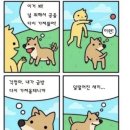 힐링폴댄스 이미지
