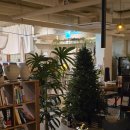 청춘 책방(책 한그릇) | 데이트하기 좋은 이색 도산공원술집 공간대여가능한 아늑한 분위기의 애주가의책방