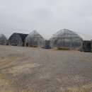 J.K 농장 이미지