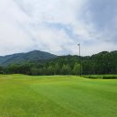 포도컨트리클럽 이미지