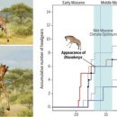 기린03-1 이미지
