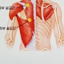 이터널짐 이미지