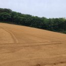 창수농장 이미지