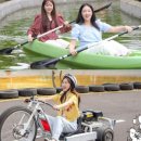 비체올린 이미지