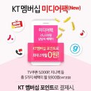 뮤직 플레인 이미지