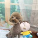 호이펫샵 이미지