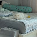 온리동물병원 이미지