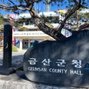 금산시네마 이미지