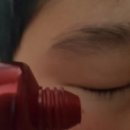 홍삼둥지