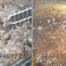 언양불고기식당 이미지