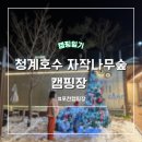 [포천] 청계호수자작나무숲캠핑장 호수 뷰 데크 7 사이트 크리스마스 겨울 캠핑
